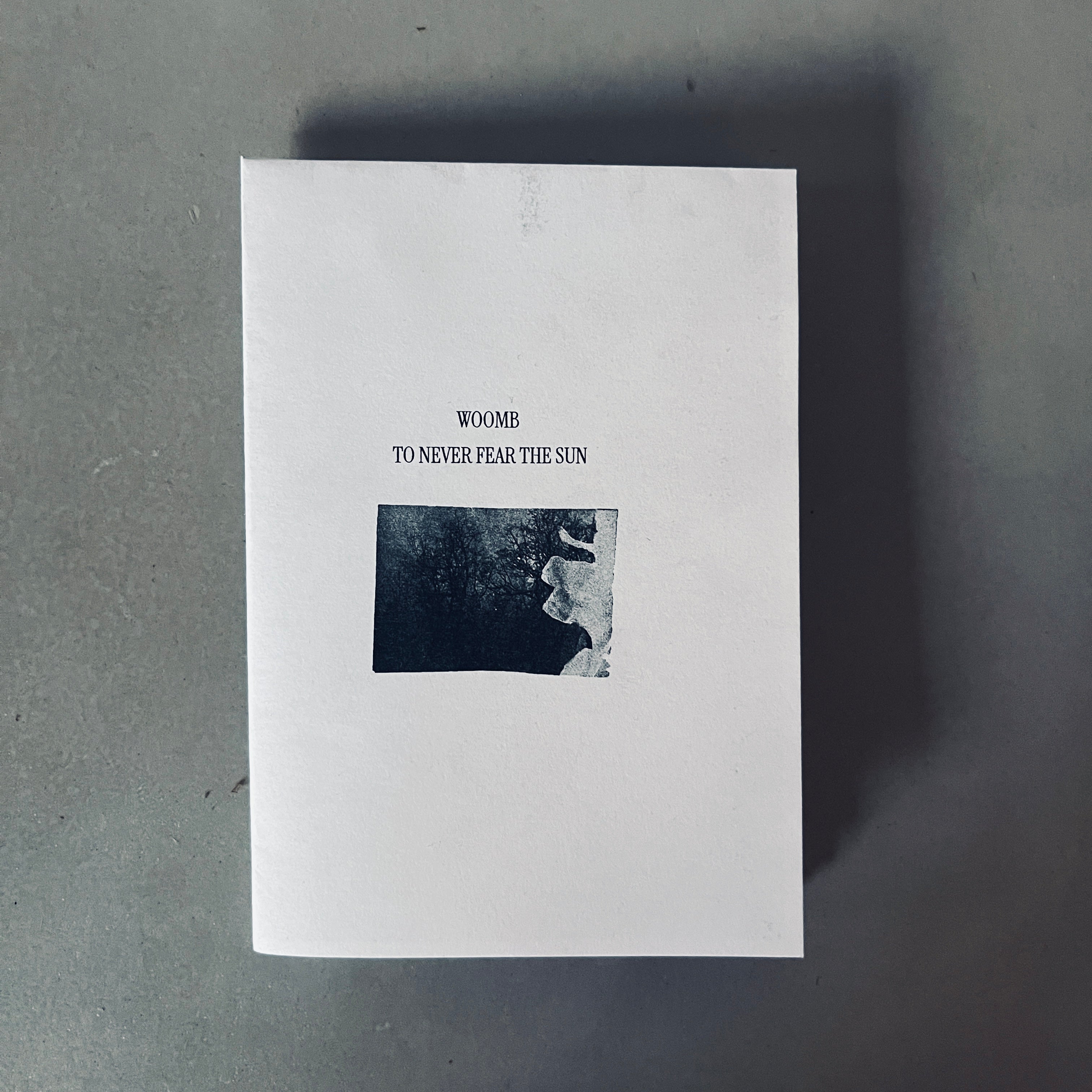 To Never Fear the Sun, Woomb Lyric Zine