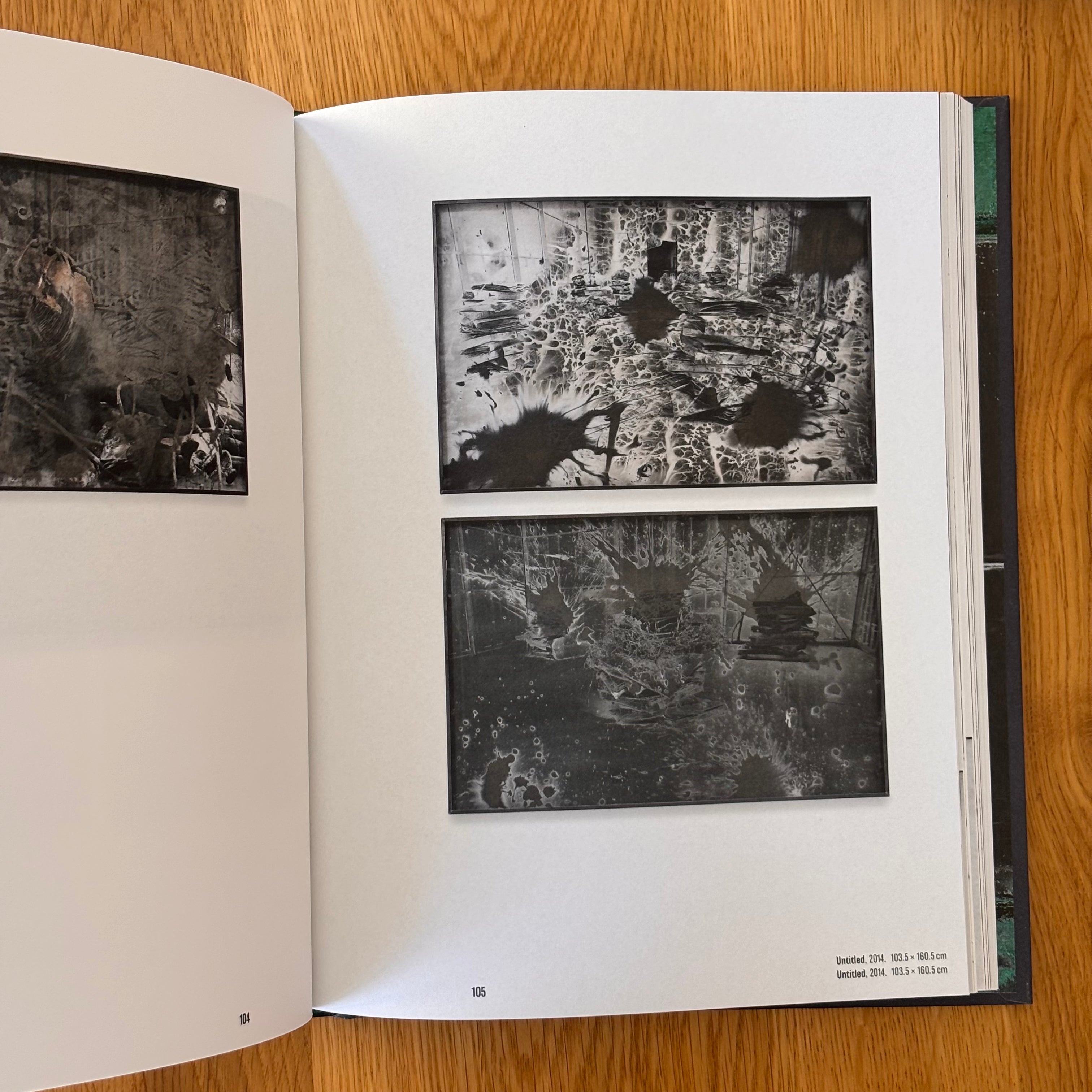 In the Beginning: Anselm Kiefer & Photography by Jean De Loisy