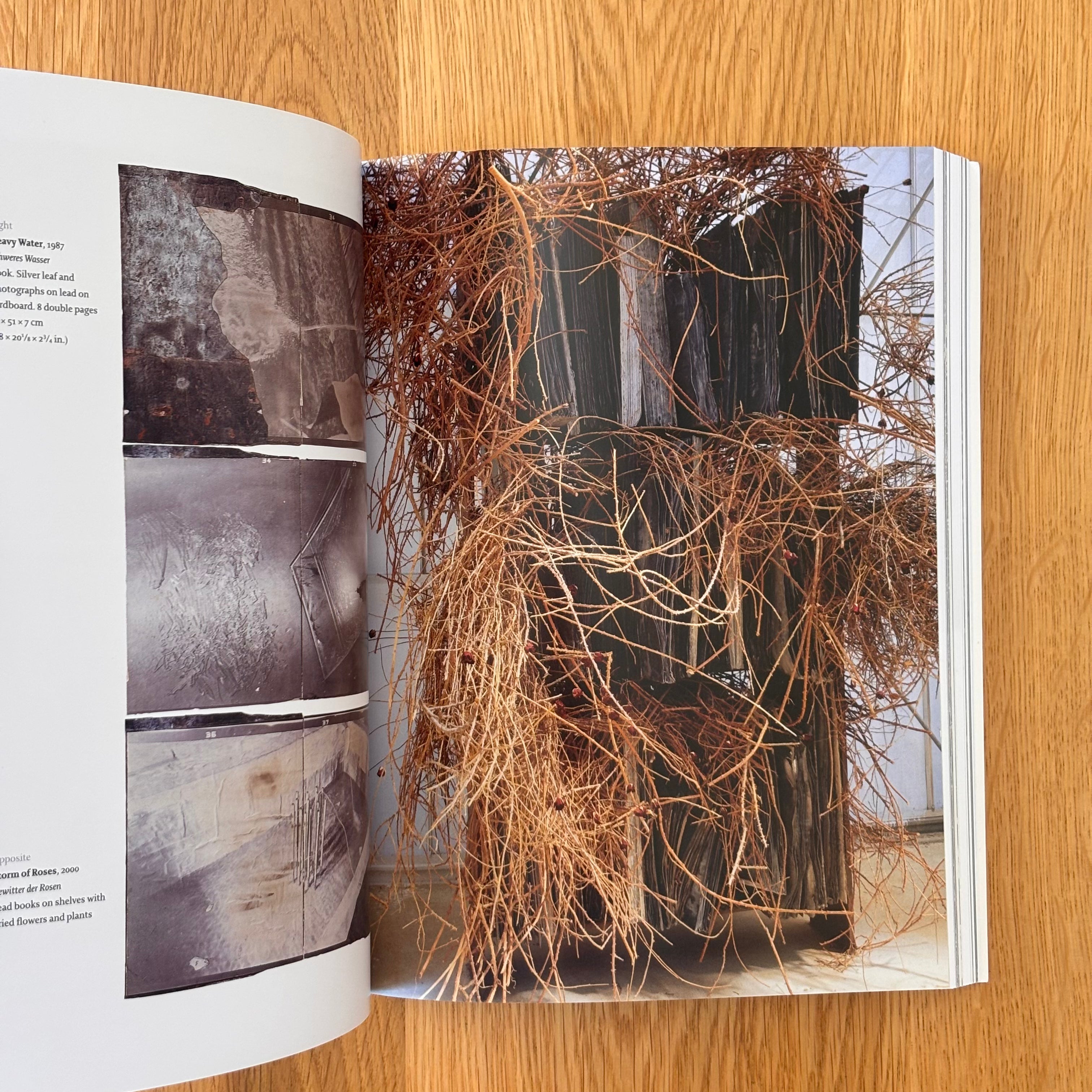 Anselm Kiefer by Daniel Arasse