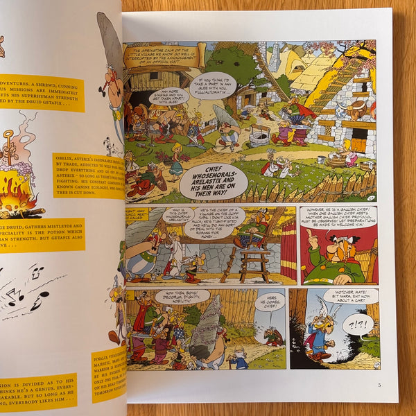 Asterix and the Cauldron by René Goscinny and Albert Uderzo