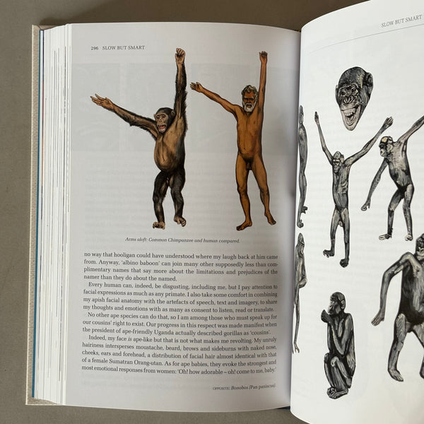 Origin Africa by Jonathan Kingdon