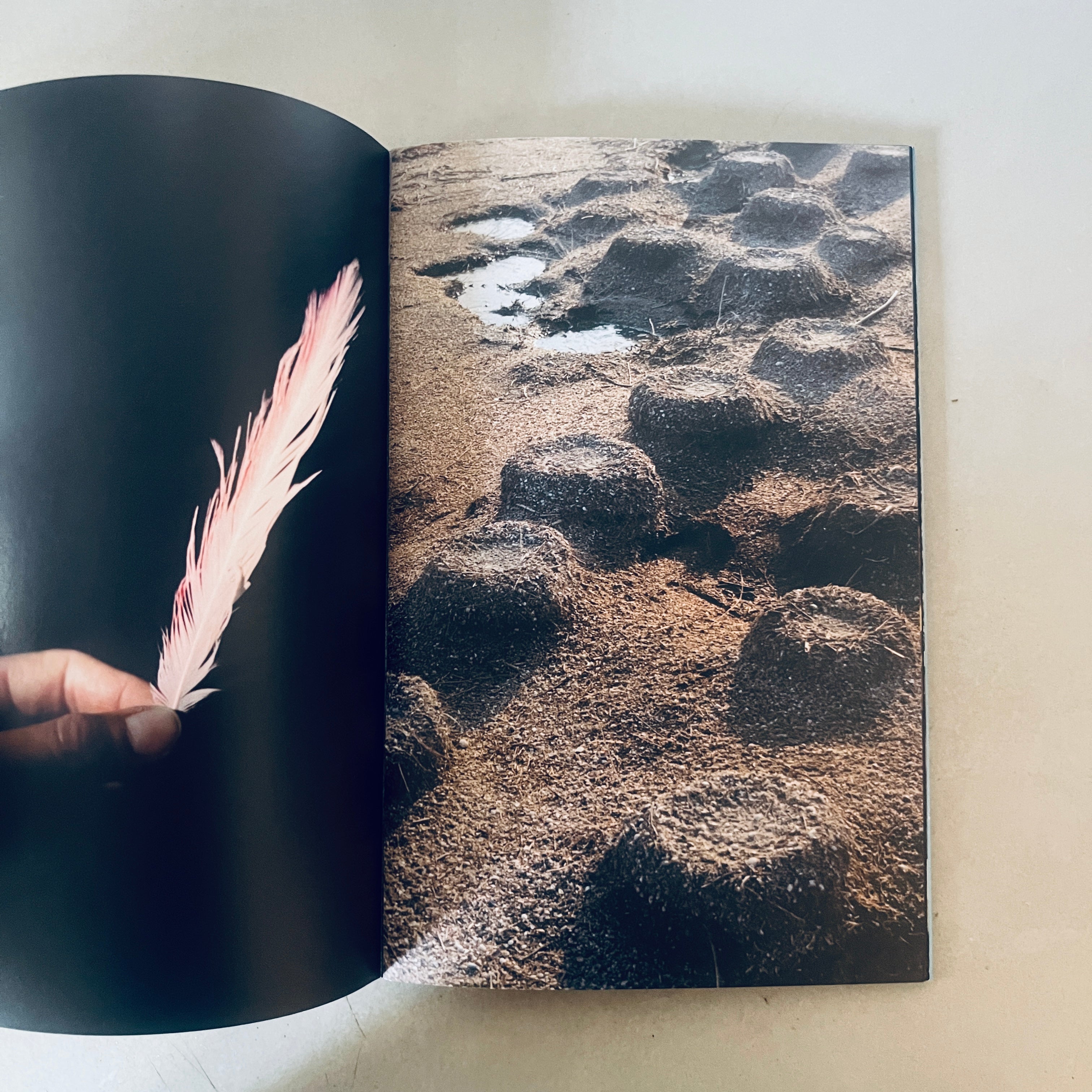 Solomiya Magazine No.4: The Environmental Issue