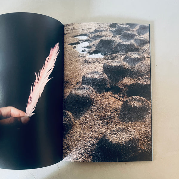 Solomiya Magazine No.4: The Environmental Issue