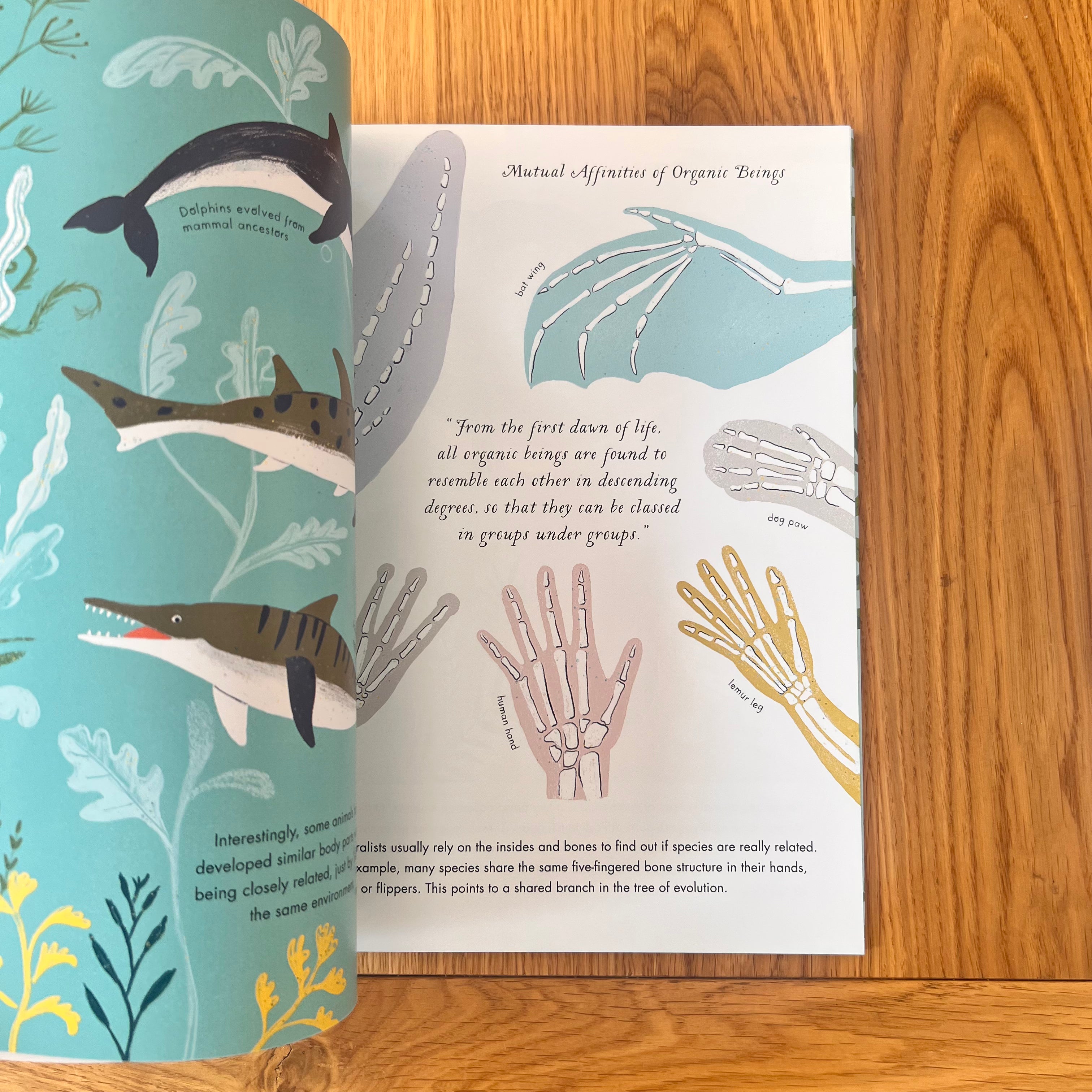 On The Origin of Species by Sabina Radeva