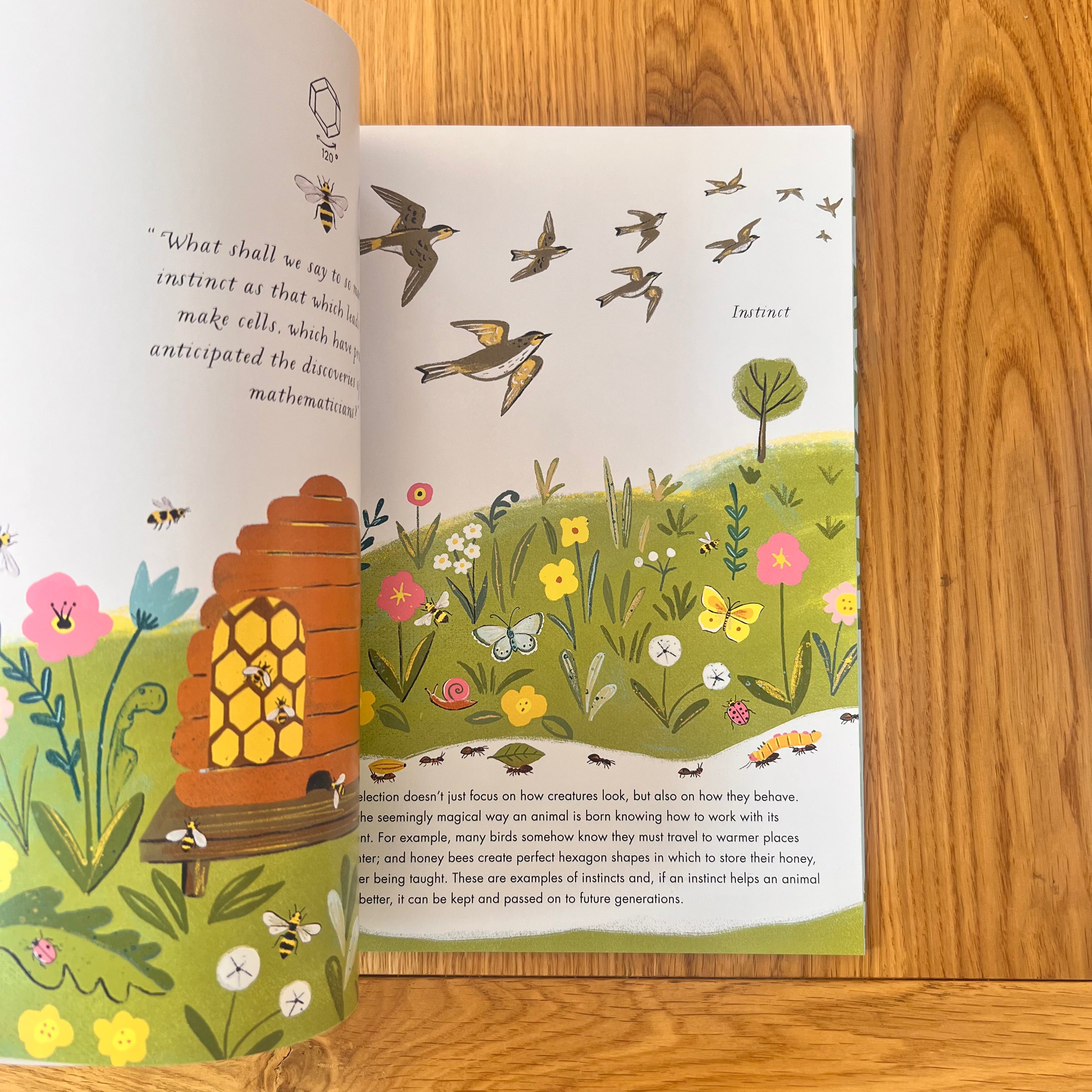 On The Origin of Species by Sabina Radeva