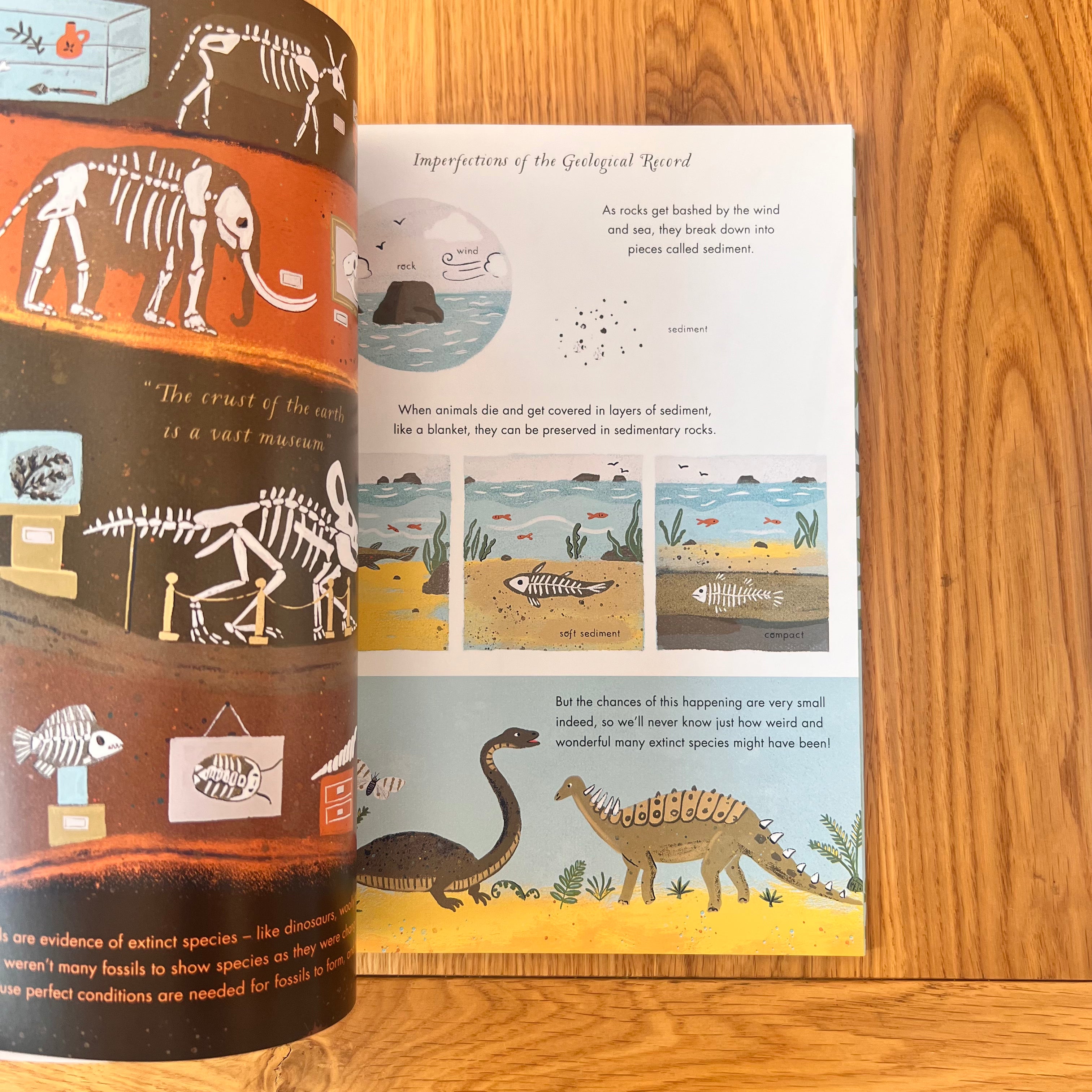 On The Origin of Species by Sabina Radeva