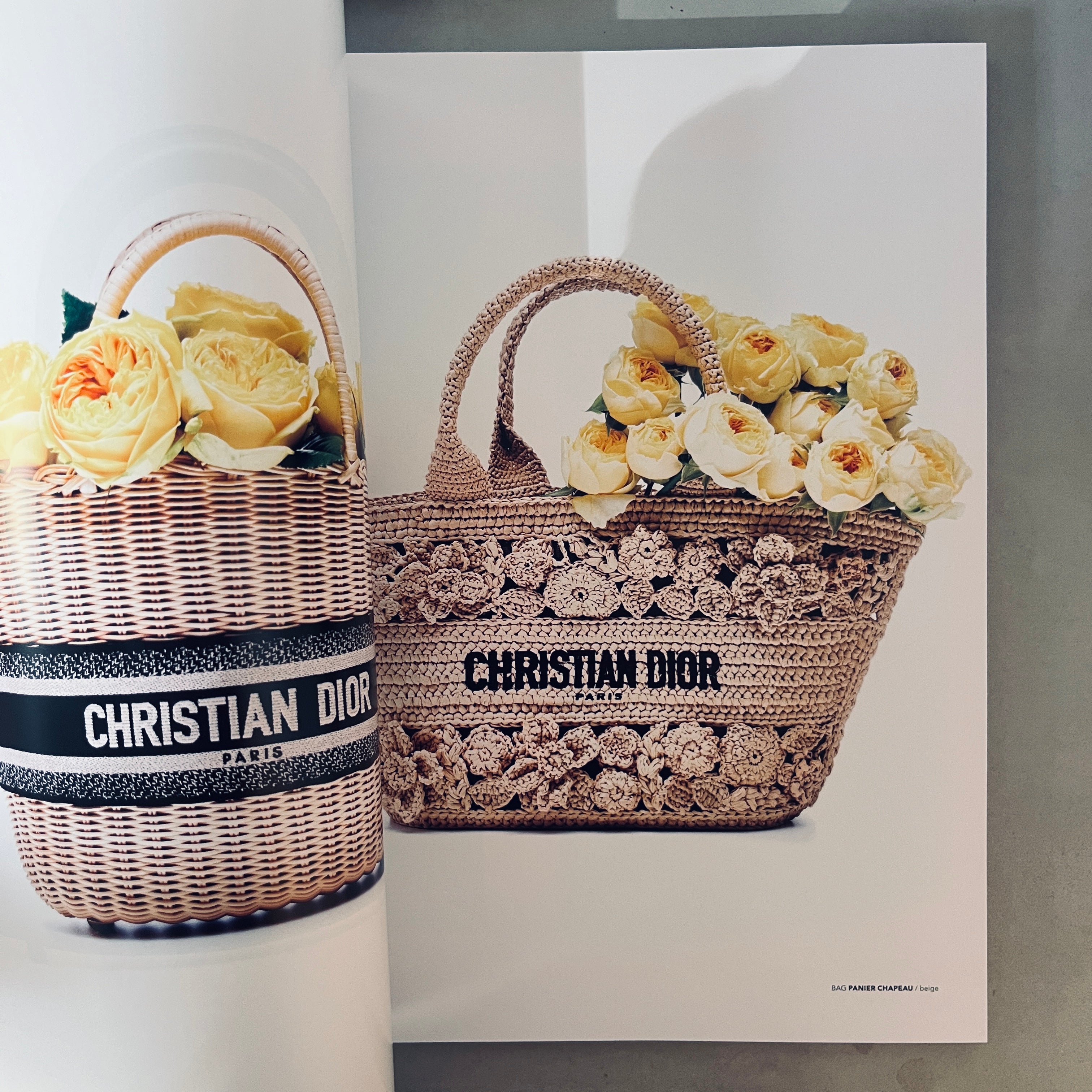 Commons & Sense Magazine, Issue 66