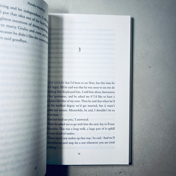 The Road to the City by Natalia Ginzburg