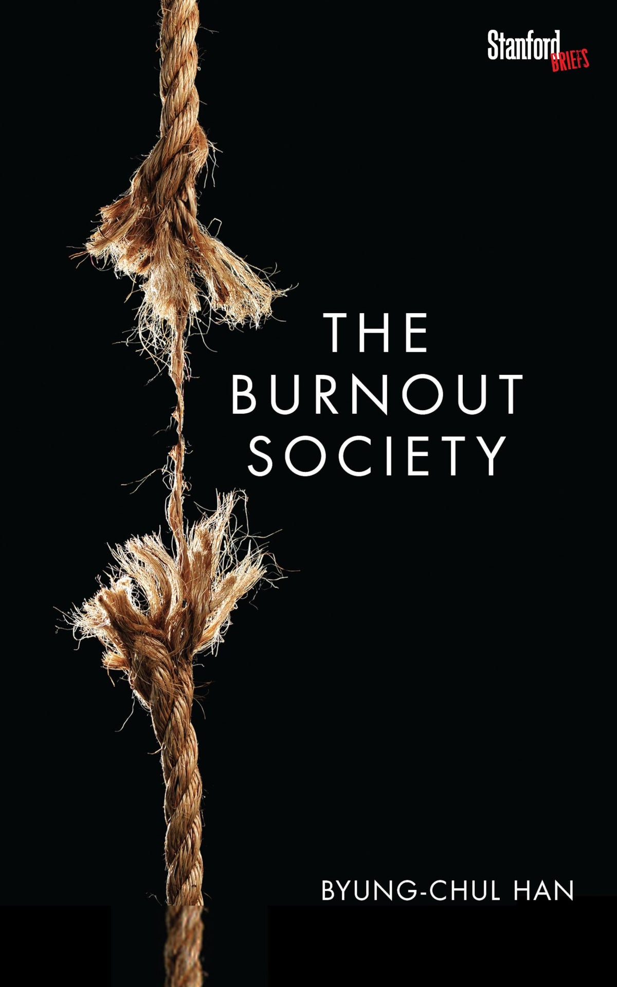 The Burnout Society by Byung-Chul Han (Translated by Erik Butler)