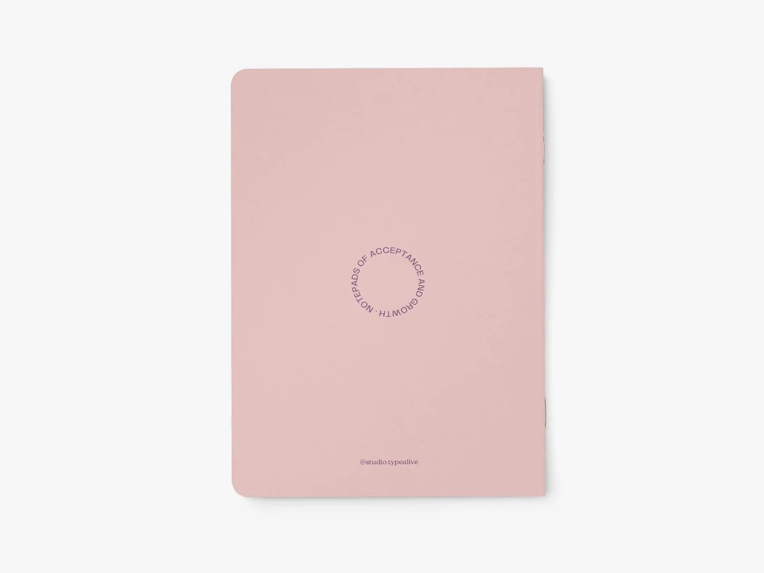 Notebook | Umami