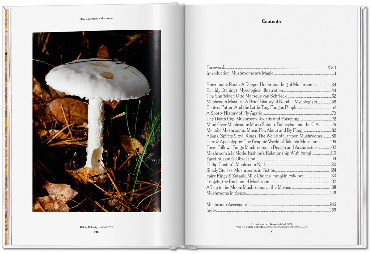 The Gourmand's Mushroom. A Collection of Stories and Recipes
