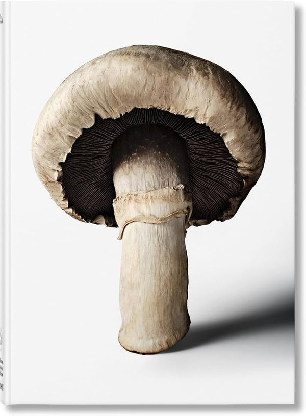 The Gourmand's Mushroom