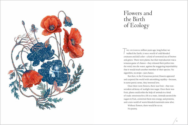 The Universe in Verse: 15 Portals to Wonder through Science and Poetry by Maria Popova