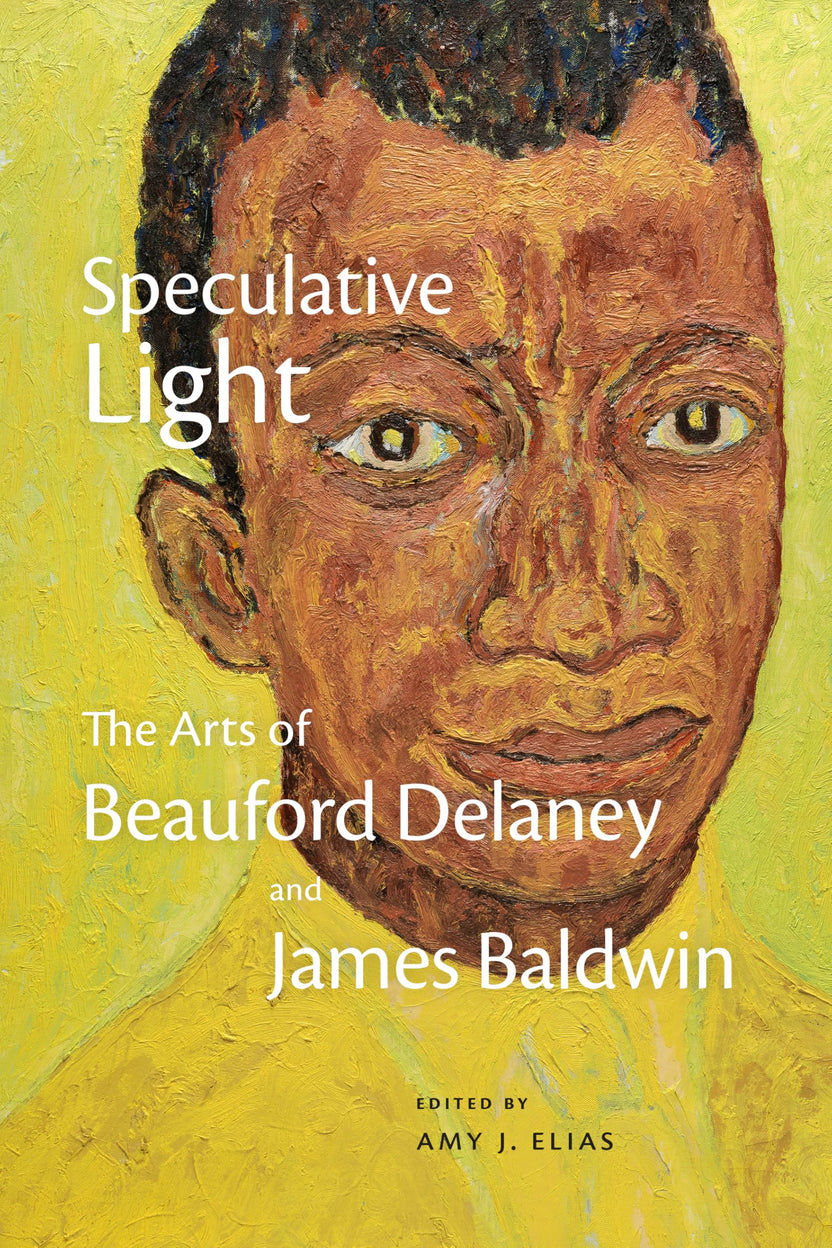 Speculative Light: The Arts of Beauford Delaney and James Baldwin by Amy J. Elias