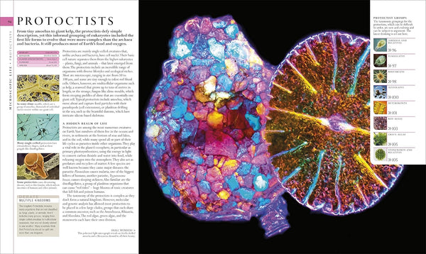 The Natural History Book: The Ultimate Visual Guide to Everything on Earth by DK