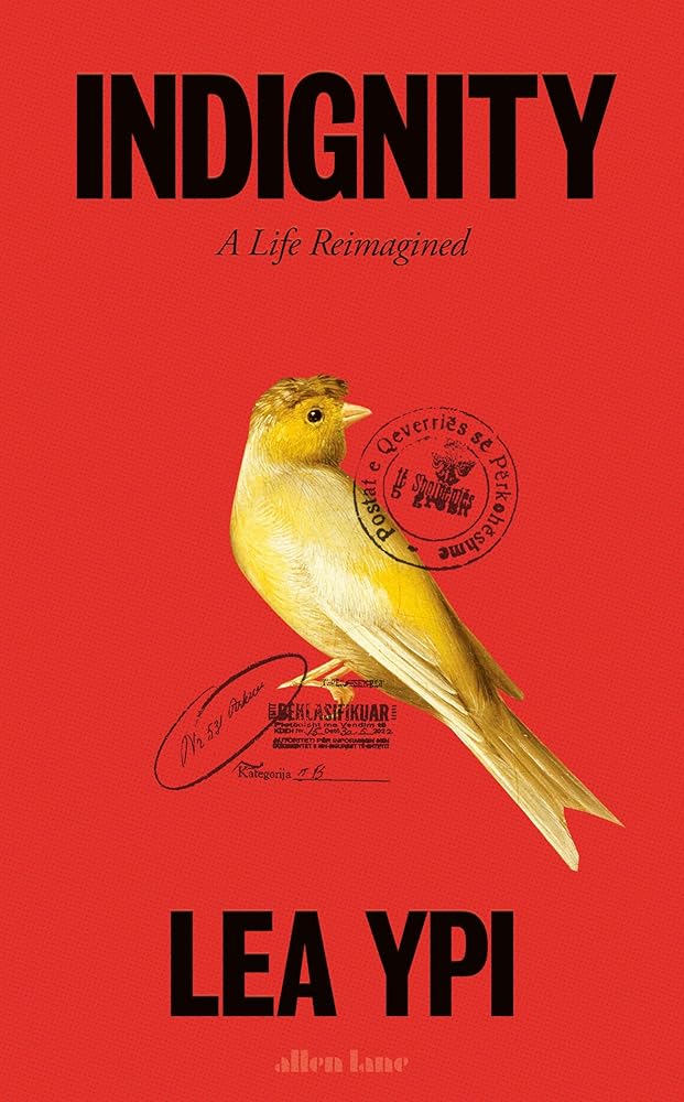 Indignity: A Life Reimagined cover image