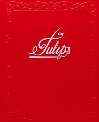 Tulips by Andrew Miksys