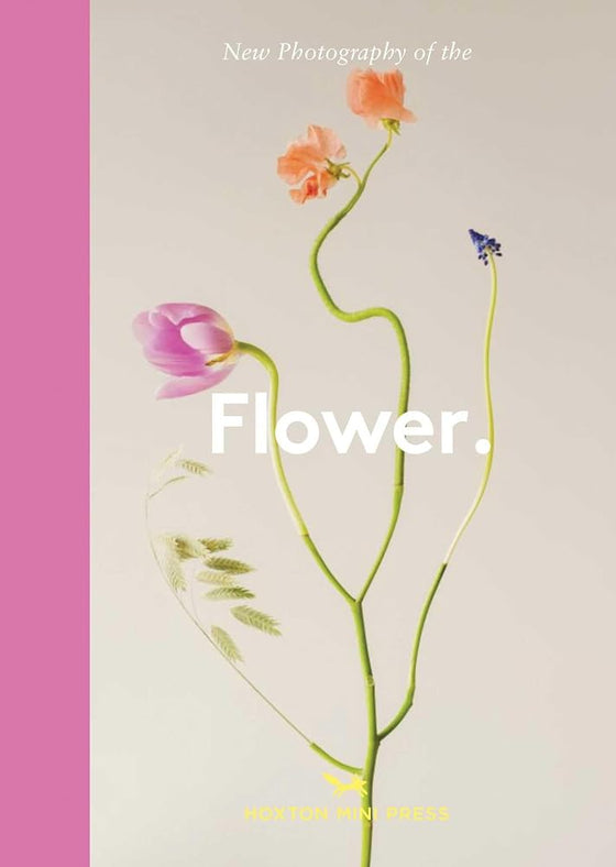 New Photography of the Flower. cover image
