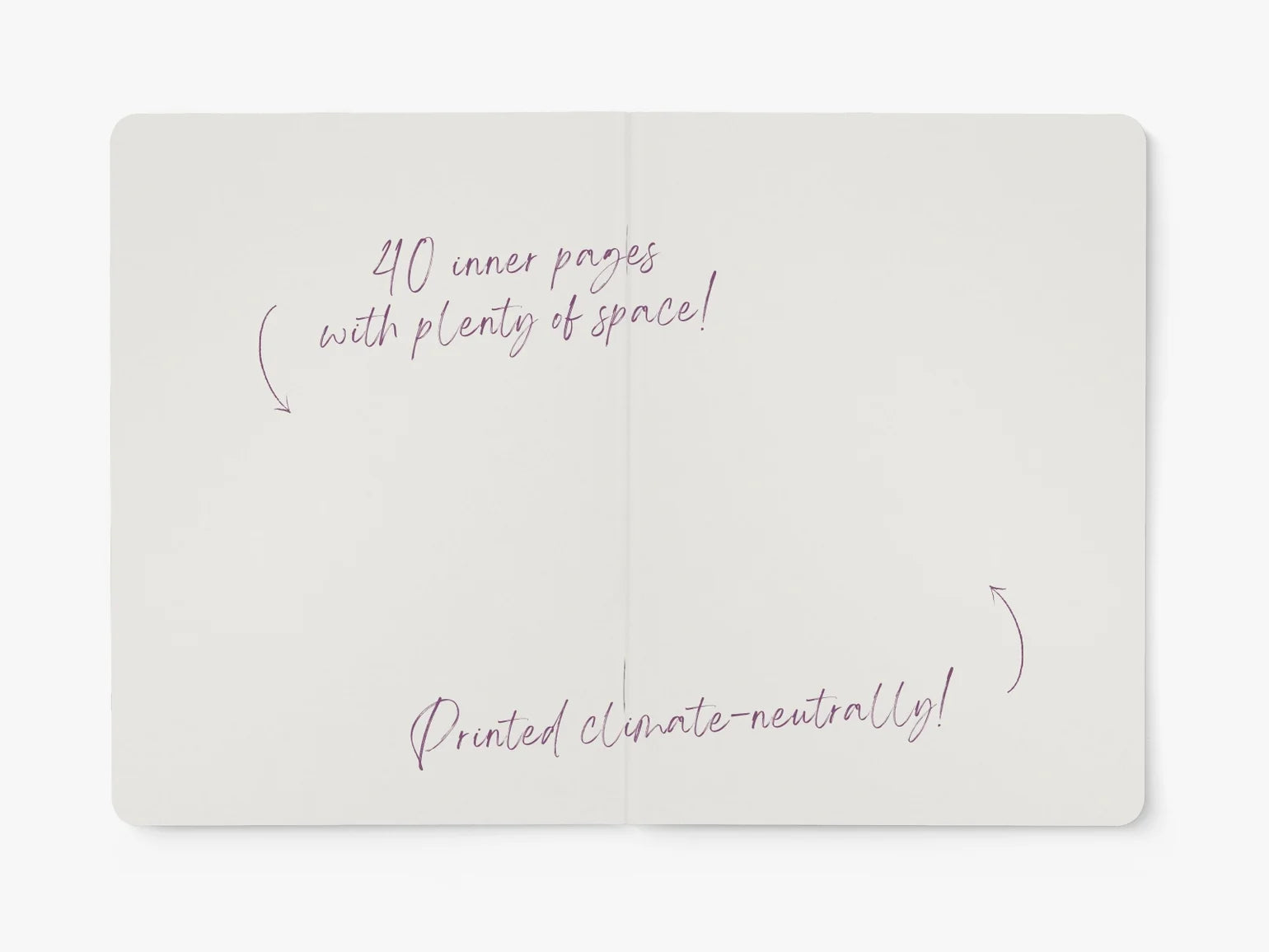 Notebook | Umami