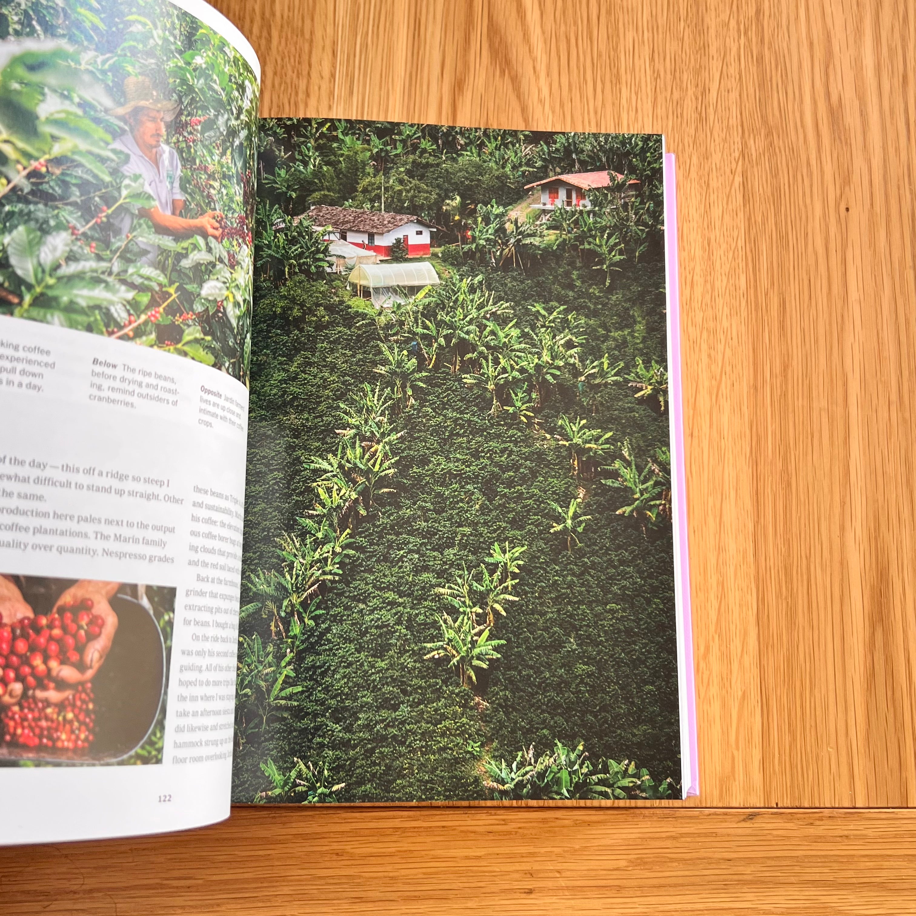 The New York Times. Cultured Traveler. 100 Trips for Curious Minds from Agadir to Yogyakarta