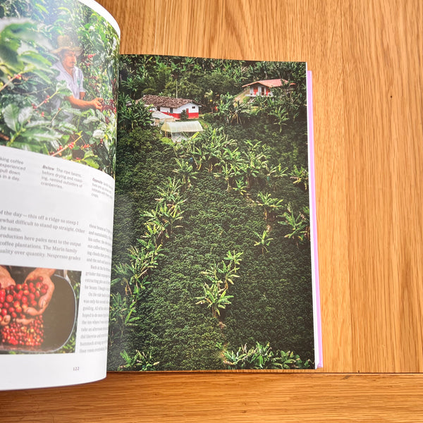 The New York Times. Cultured Traveler. 100 Trips for Curious Minds from Agadir to Yogyakarta