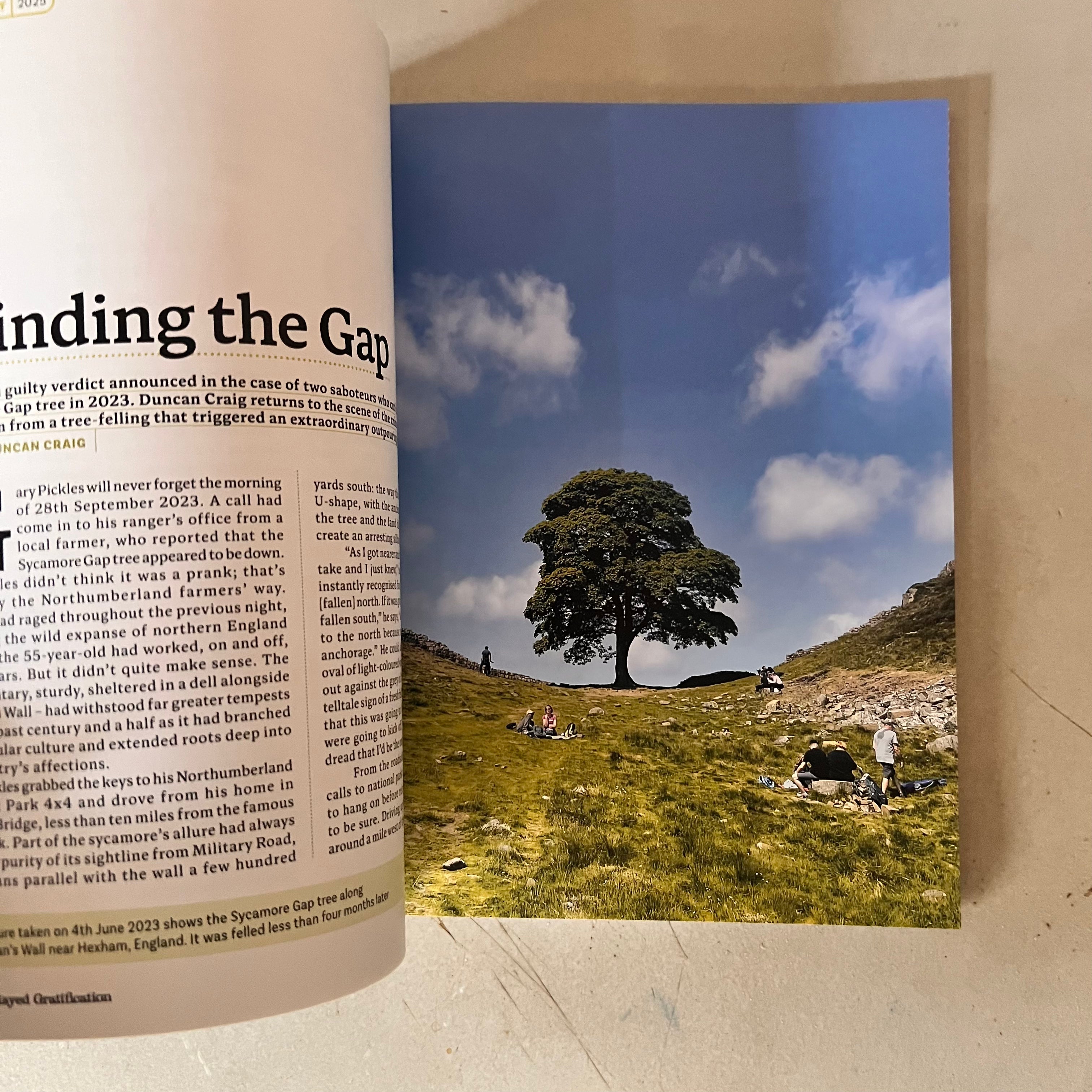 Delayed Gratification, Issue 59