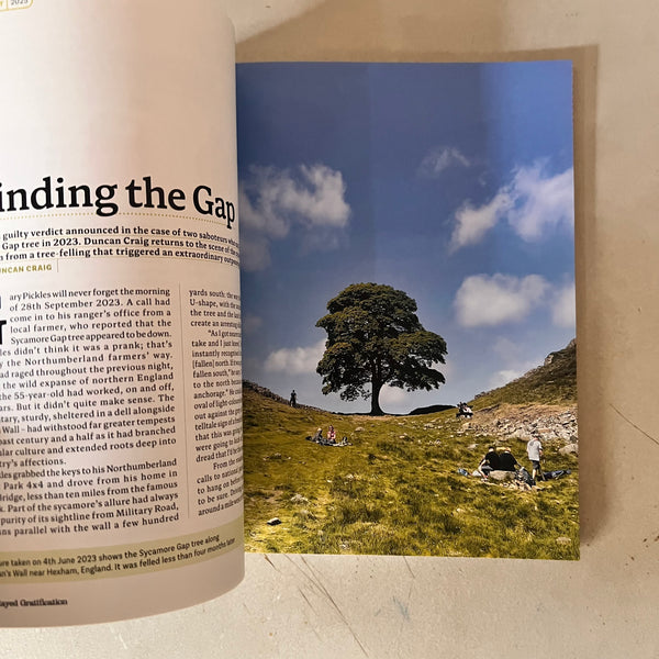 Delayed Gratification, Issue 59