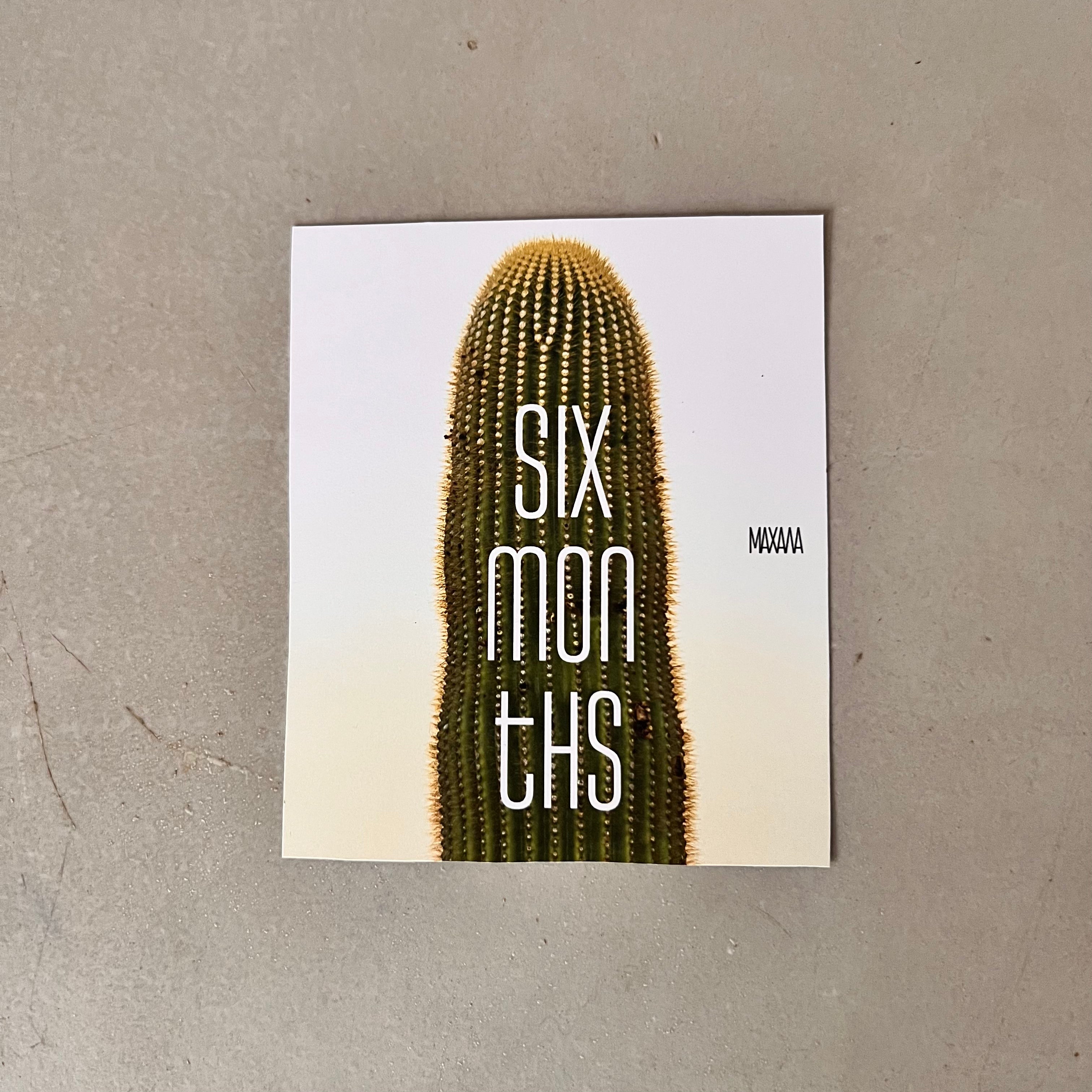 Six Months Book/Magazine Subscription