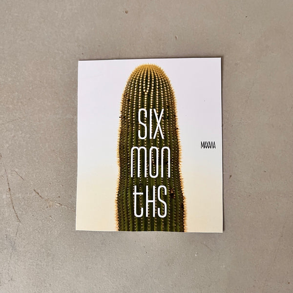 Six Months Book/Magazine Subscription