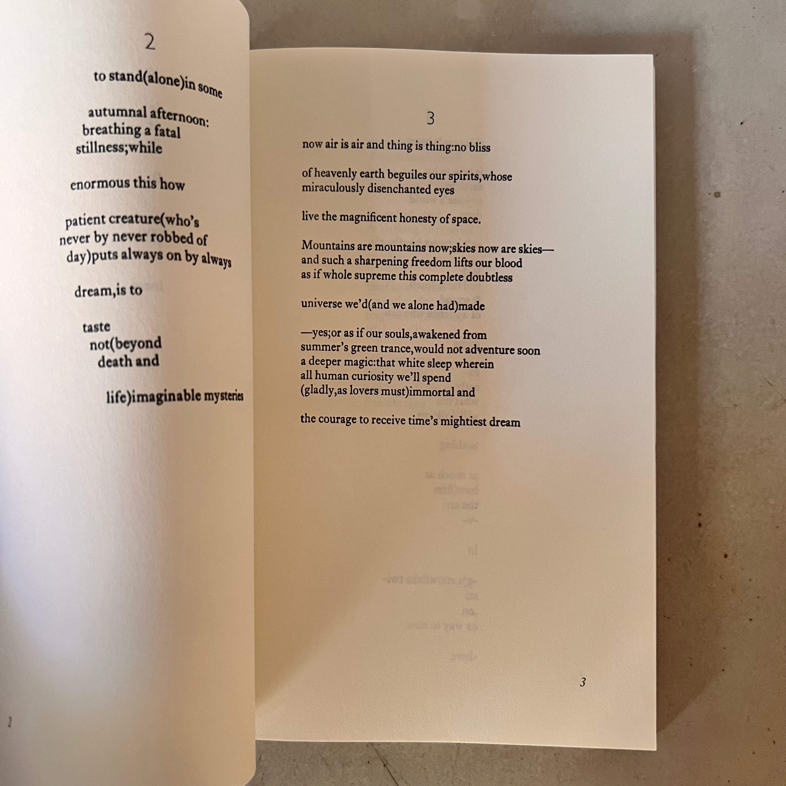 95 Poems by E. E. Cummings