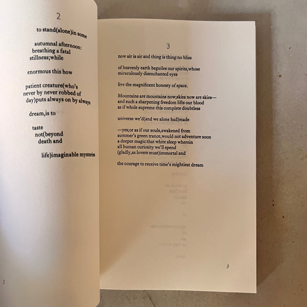 95 Poems by E. E. Cummings