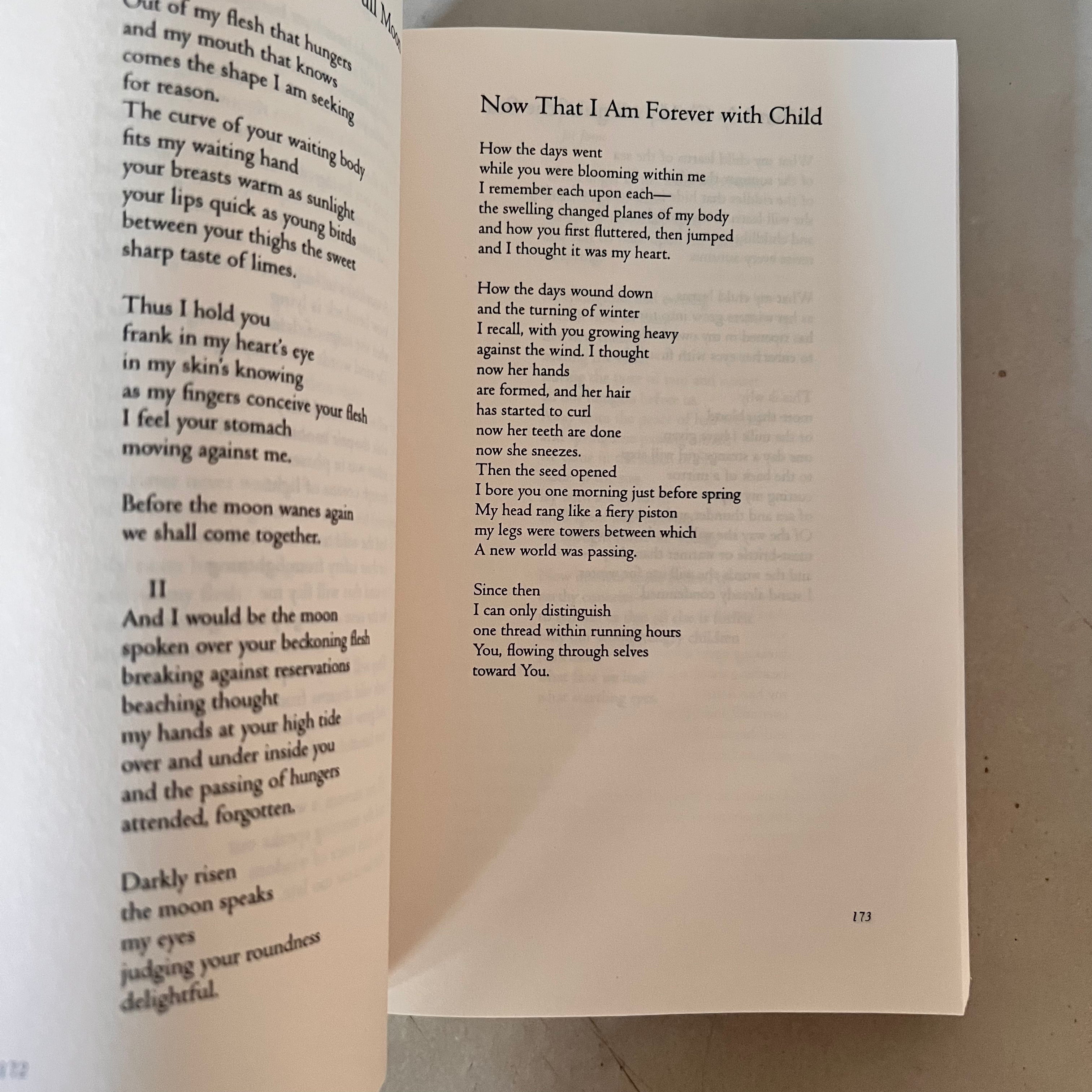 The Collected Poems of Audre Lorde