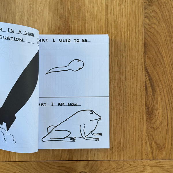 Weak Messages Create Bad Situations: A Manifesto by David Shrigley