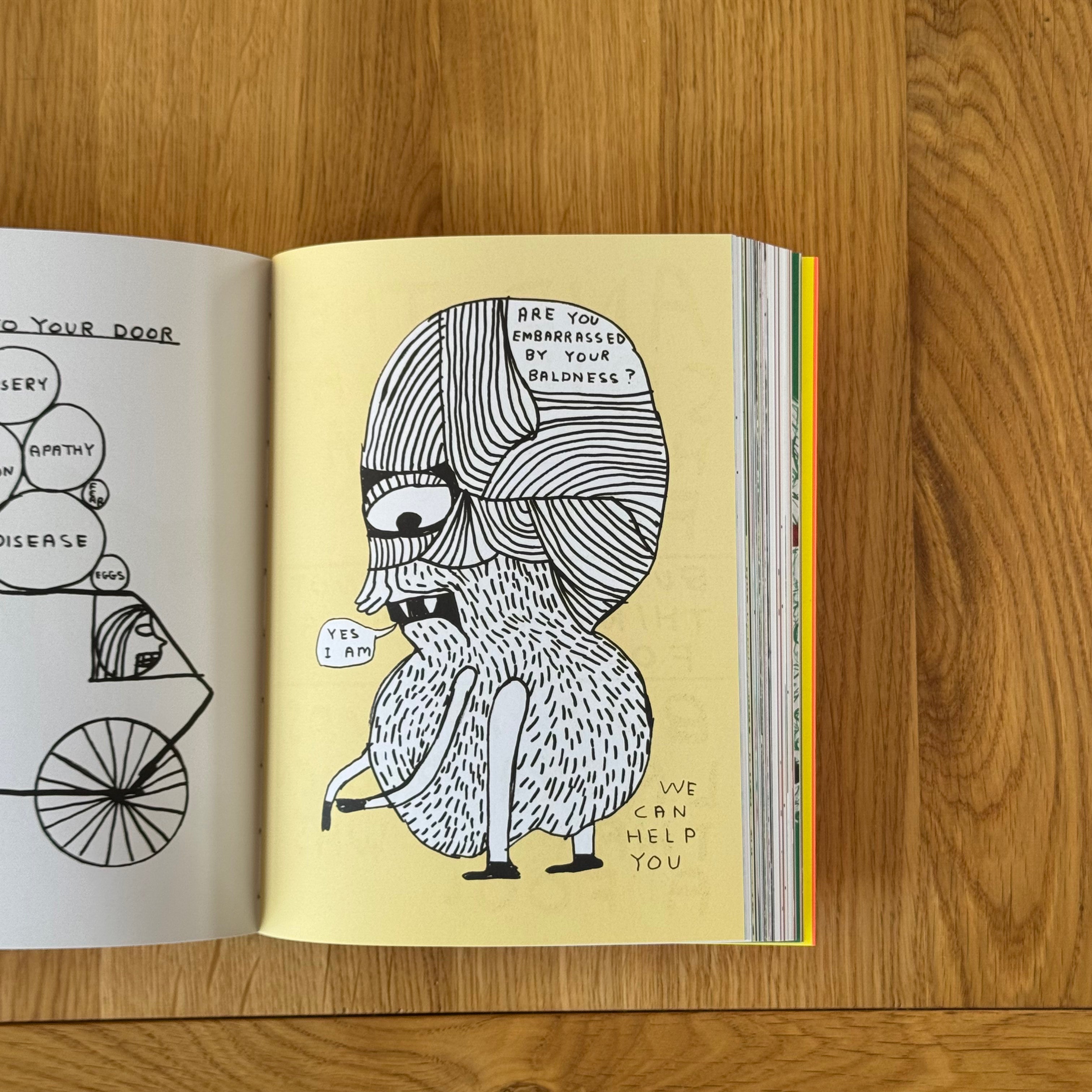 What The Hell Are You Doing? by David Shrigley