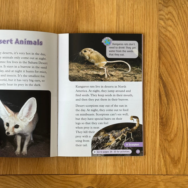 Animals At Night by Rachel Bladon