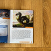 All About Islands by James Styring