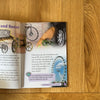 Machines Then and Now by Robert Quinn and Hazel Geatches