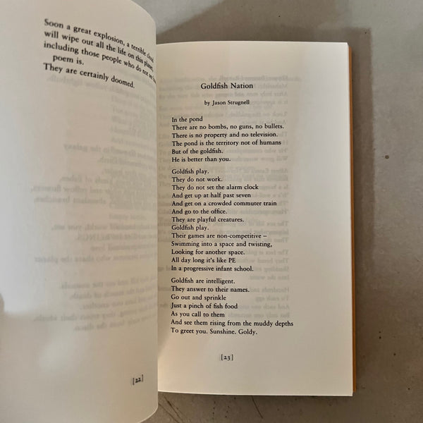 Serious Concerns by Wendy Cope