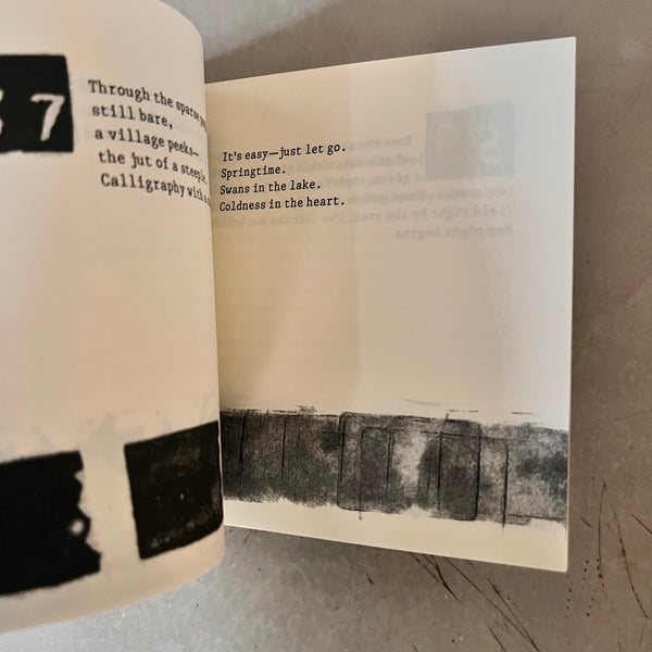 Journeys There and Back by Silvia Choleva