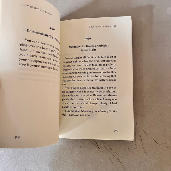 How to Hug a Porcupine: 101 Ways to Love the Most Difficult People in Your Life by Debbie Joffe