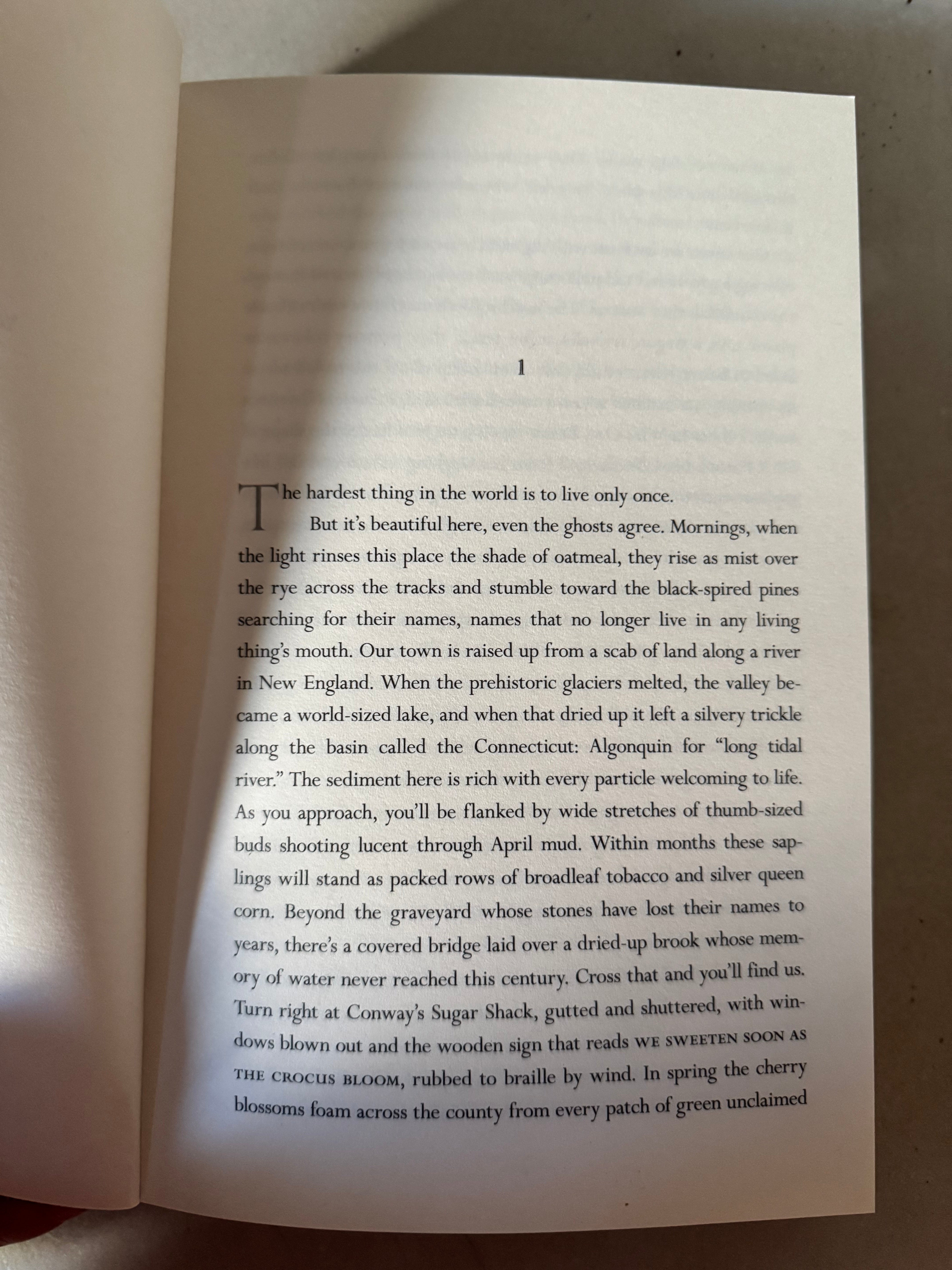 The Emperor of Gladness by Ocean Vuong