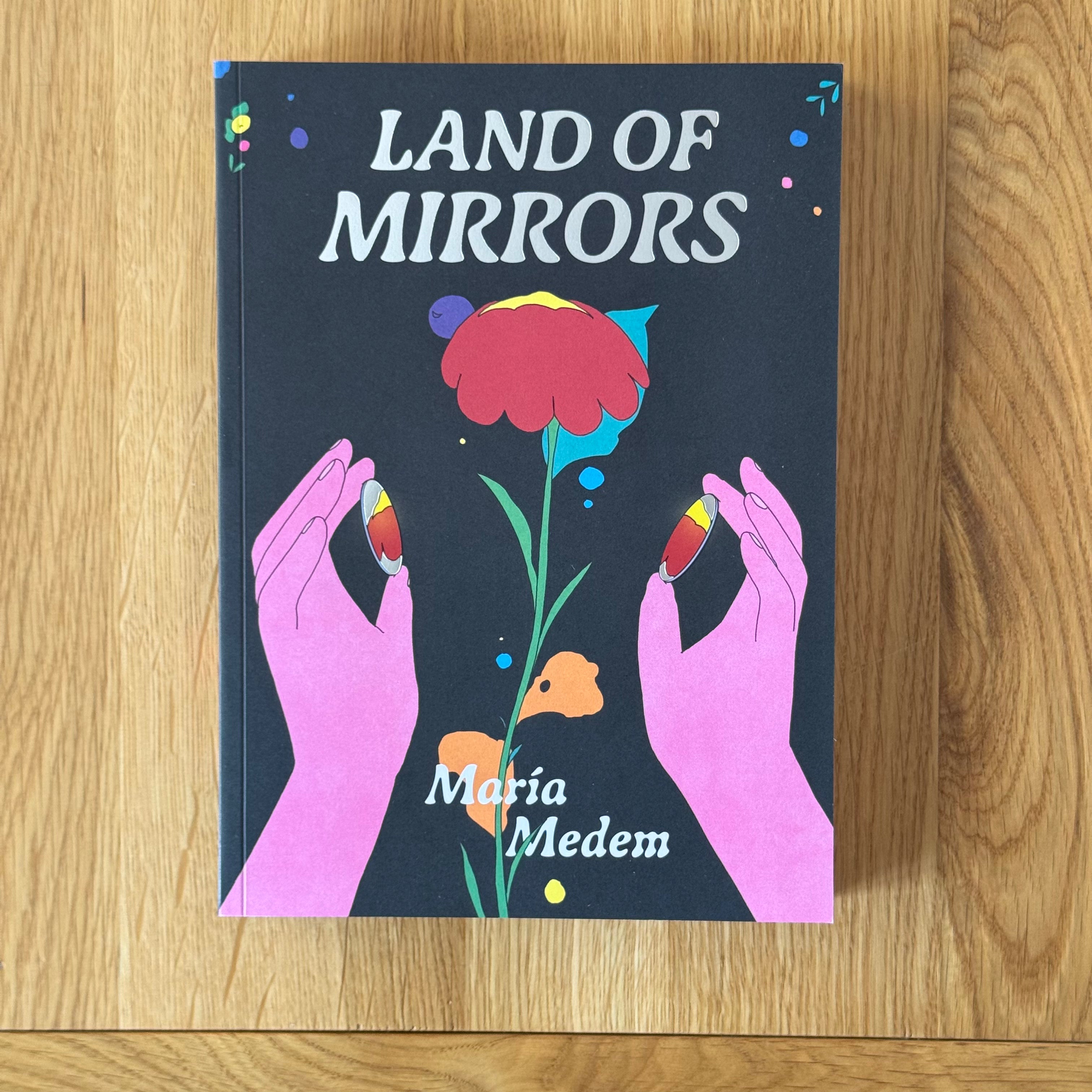 Land of Mirrors by Maria Medem