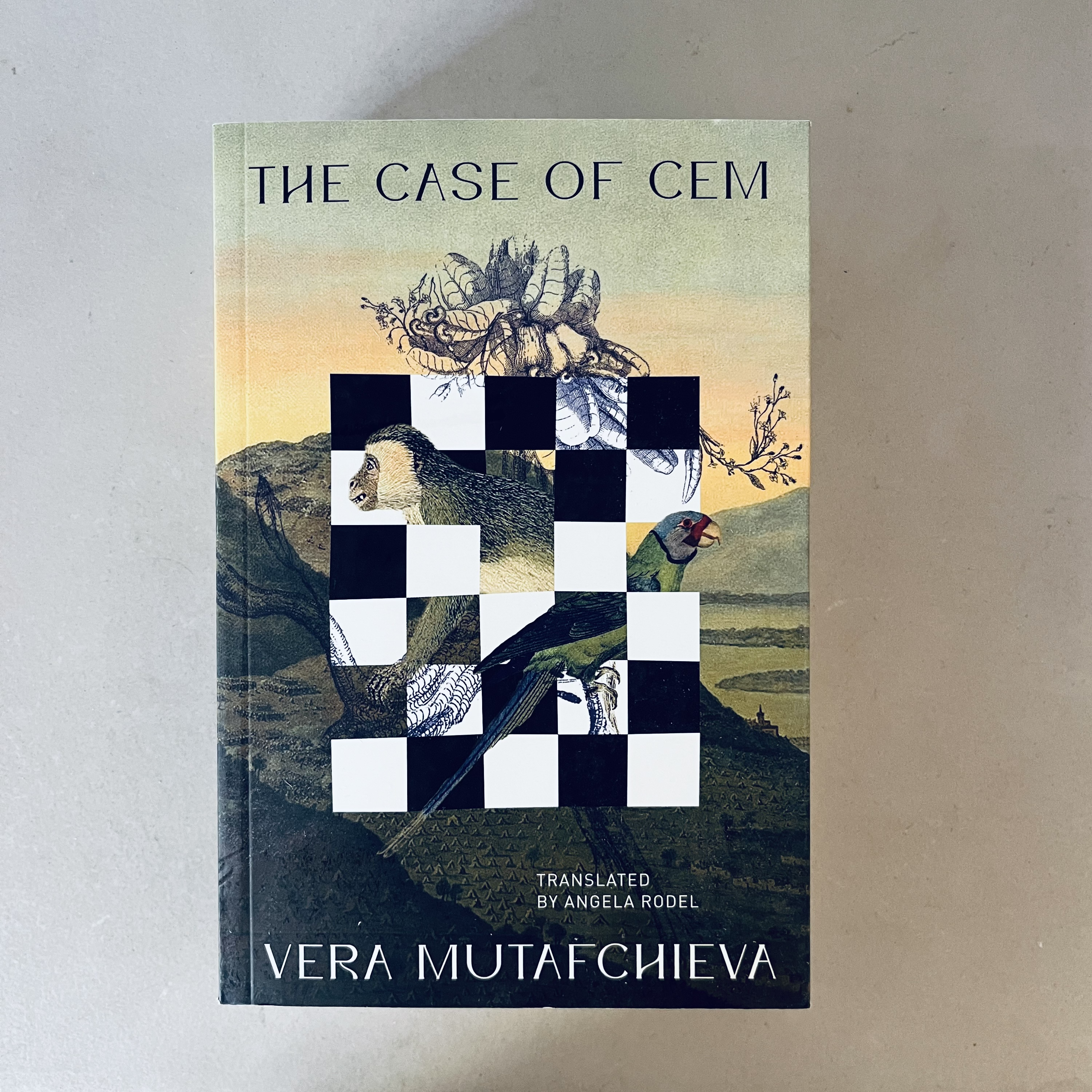 The Case of Cem by Vera Mutafchieva