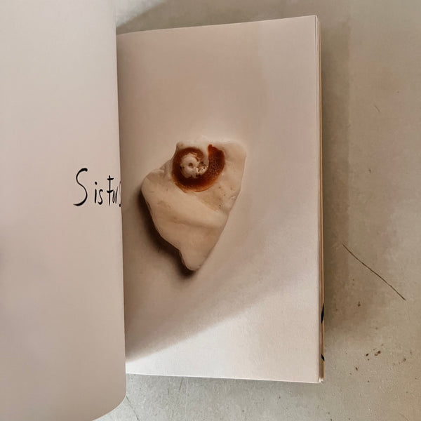 Intuitive Alphabet by Oka Doner