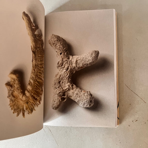 Intuitive Alphabet by Oka Doner