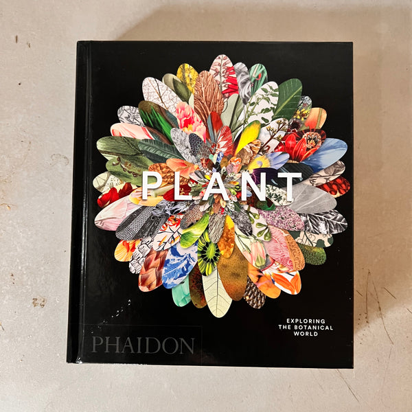 Plant : Exploring the Botanical World by Phaidon Editors