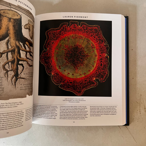 Plant : Exploring the Botanical World by Phaidon Editors