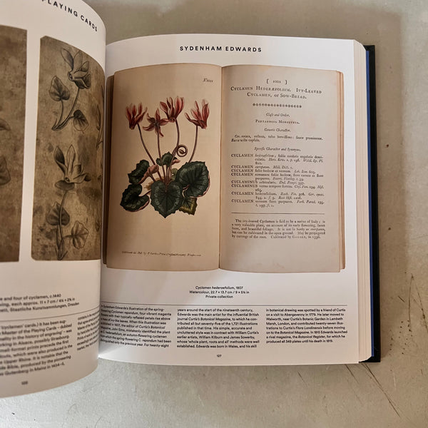 Plant : Exploring the Botanical World by Phaidon Editors