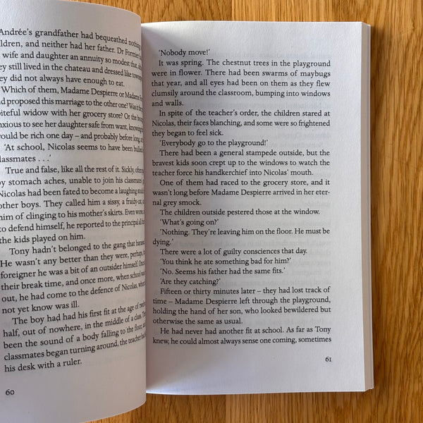 The Blue Room by Georges Simenon