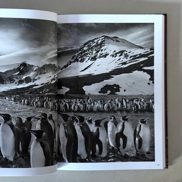 Genesis (2022) by Sebastiao Salgado